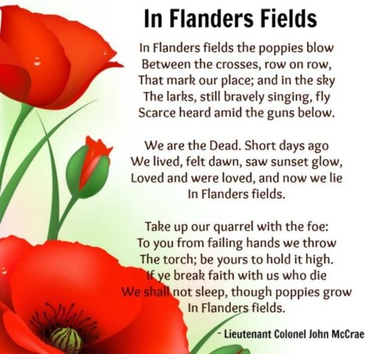 Image shows red poppies on the left and the "In Flanders Fields" poem is recited on the right.